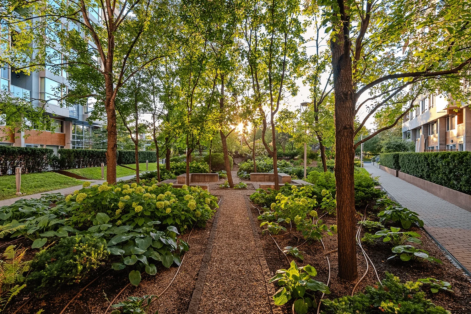 Services paysagers Dominique Filion - Aménagement paysager