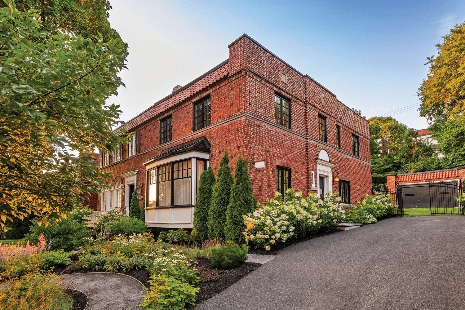 Aménagement paysager de coin incluant des cèdres pyramidaux, des massifs d'hydrangées et une allée asphaltée propre devant une résidence de brique à Westmount.