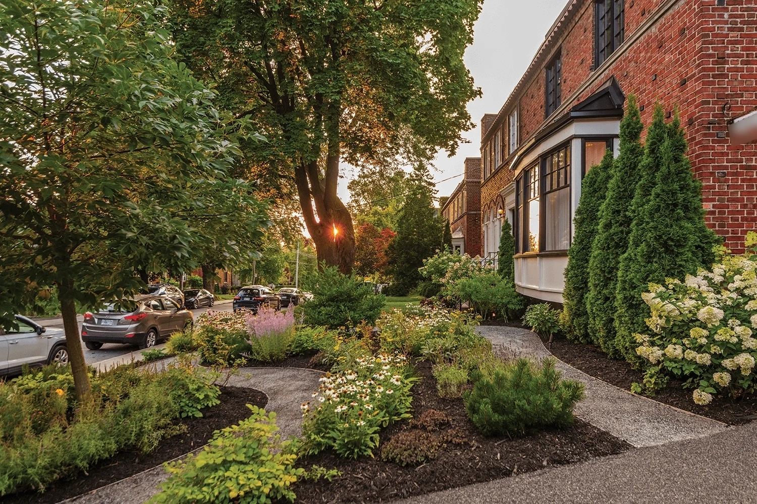 Aménagement paysager de devanture de maison à Westmount avec sentiers sinueux en gravier, massifs de fleurs vivaces colorées et haies de cèdres pyramidaux pour un design horticole soigné.
